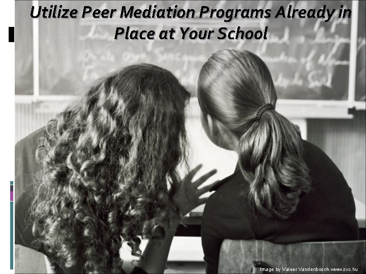 Utilize Peer Mediation Programs Already in Place at Your School Image by Valeer Vandenbosch