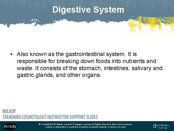 Digestive System • Also known as the gastrointestinal system. It is responsible for breaking