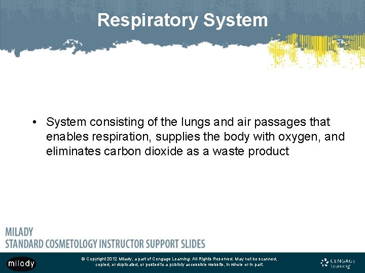 Respiratory System • System consisting of the lungs and air passages that enables respiration,