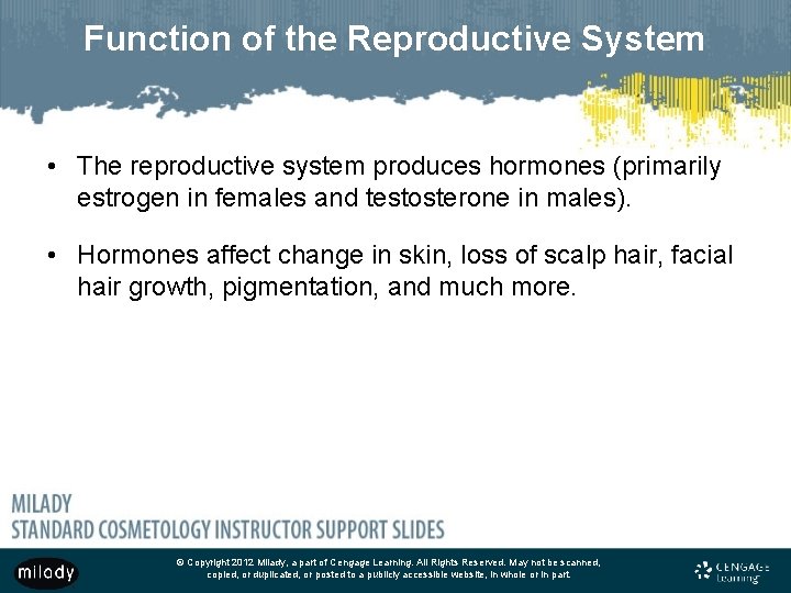 Function of the Reproductive System • The reproductive system produces hormones (primarily estrogen in