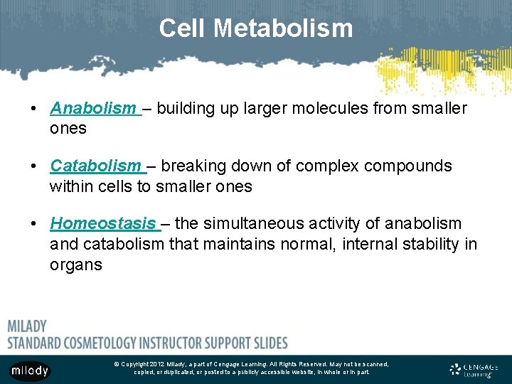 Cell Metabolism • Anabolism – building up larger molecules from smaller ones • Catabolism