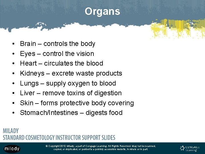 Organs • • Brain – controls the body Eyes – control the vision Heart