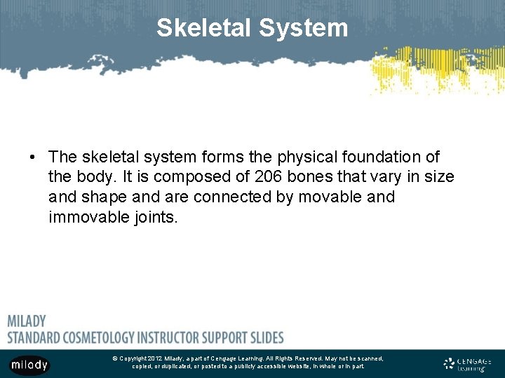 Skeletal System • The skeletal system forms the physical foundation of the body. It