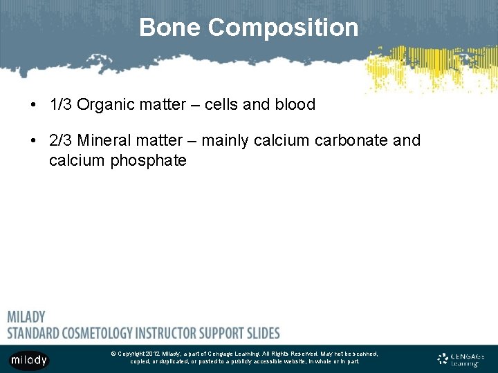 Bone Composition • 1/3 Organic matter – cells and blood • 2/3 Mineral matter