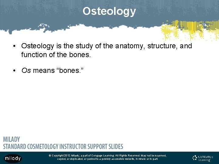 Osteology • Osteology is the study of the anatomy, structure, and function of the