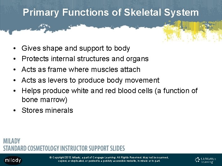 Primary Functions of Skeletal System • • • Gives shape and support to body