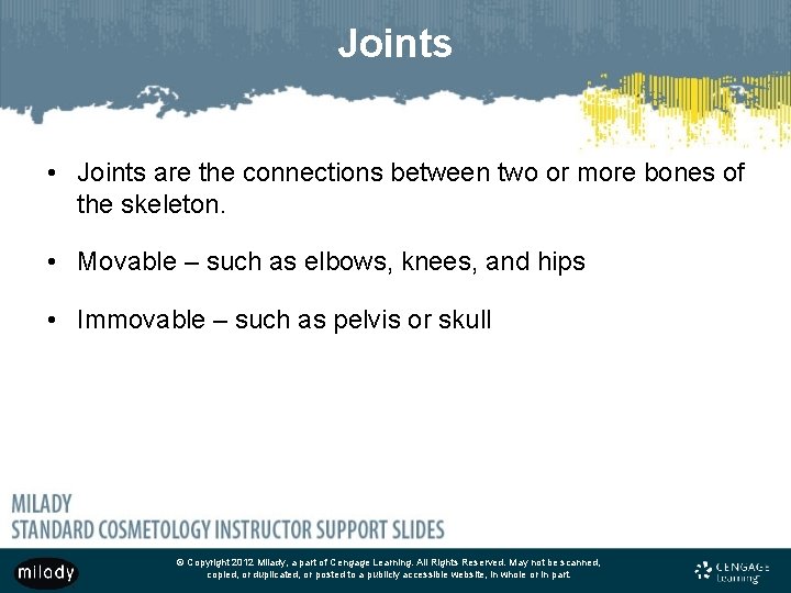 Joints • Joints are the connections between two or more bones of the skeleton.