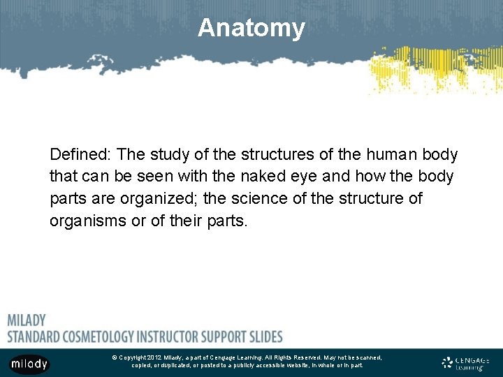 Anatomy Defined: The study of the structures of the human body that can be