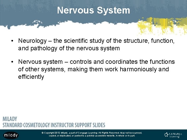 Nervous System • Neurology – the scientific study of the structure, function, and pathology