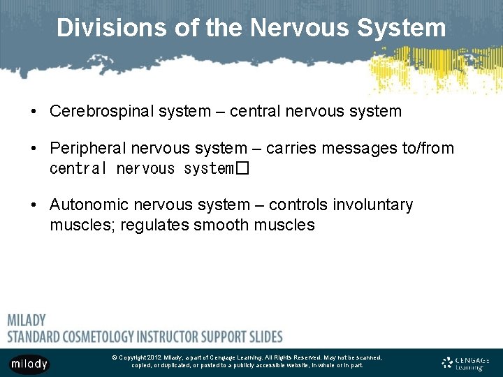 Divisions of the Nervous System • Cerebrospinal system – central nervous system • Peripheral