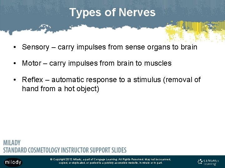 Types of Nerves • Sensory – carry impulses from sense organs to brain •