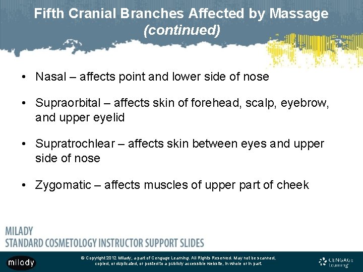 Fifth Cranial Branches Affected by Massage (continued) • Nasal – affects point and lower