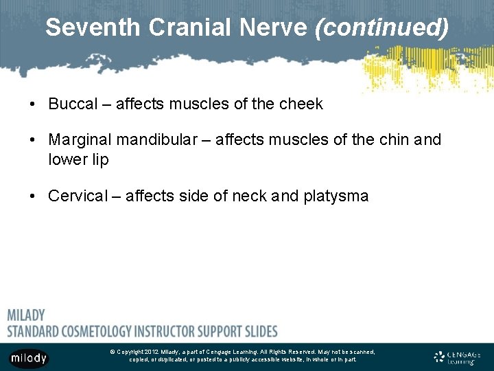 Seventh Cranial Nerve (continued) • Buccal – affects muscles of the cheek • Marginal