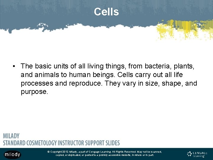 Cells • The basic units of all living things, from bacteria, plants, and animals