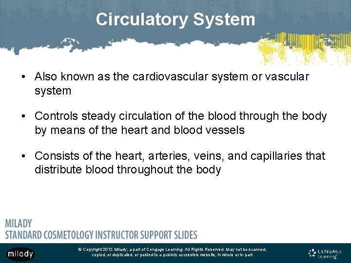 Circulatory System • Also known as the cardiovascular system or vascular system • Controls