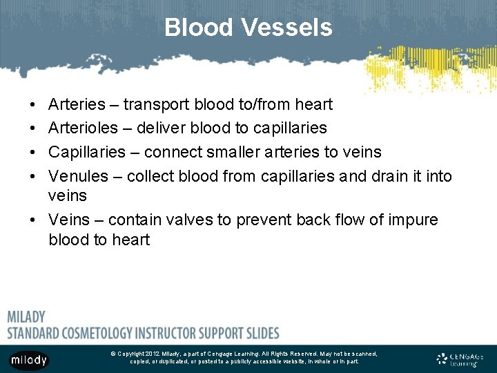 Blood Vessels • • Arteries – transport blood to/from heart Arterioles – deliver blood