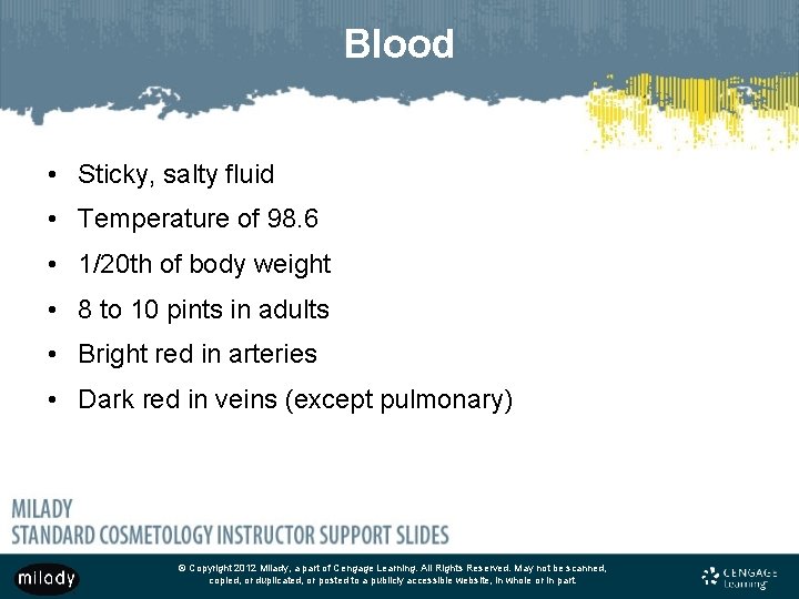 Blood • Sticky, salty fluid • Temperature of 98. 6 • 1/20 th of