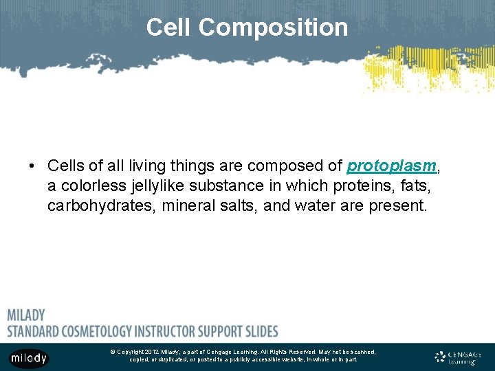 Cell Composition • Cells of all living things are composed of protoplasm, a colorless