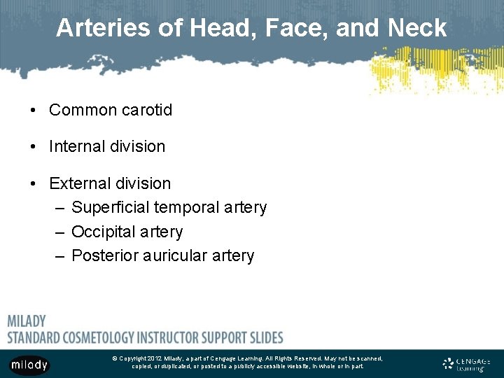 Arteries of Head, Face, and Neck • Common carotid • Internal division • External