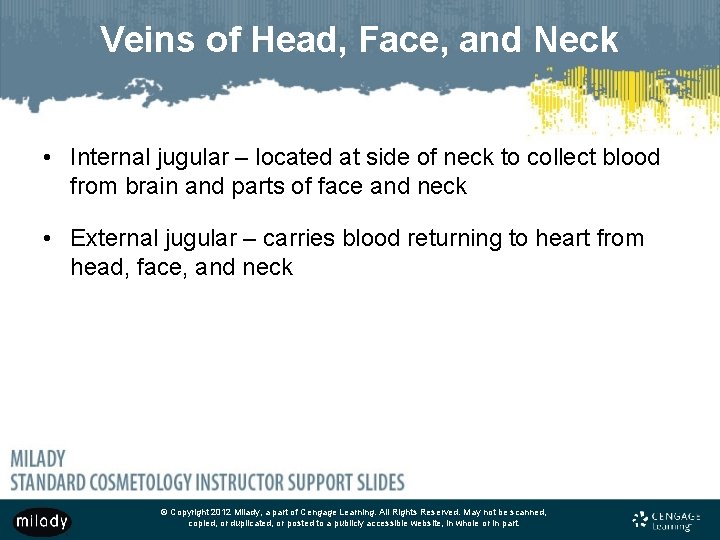 Veins of Head, Face, and Neck • Internal jugular – located at side of