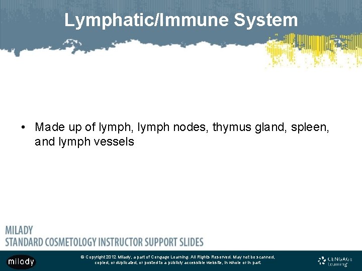 Lymphatic/Immune System • Made up of lymph, lymph nodes, thymus gland, spleen, and lymph