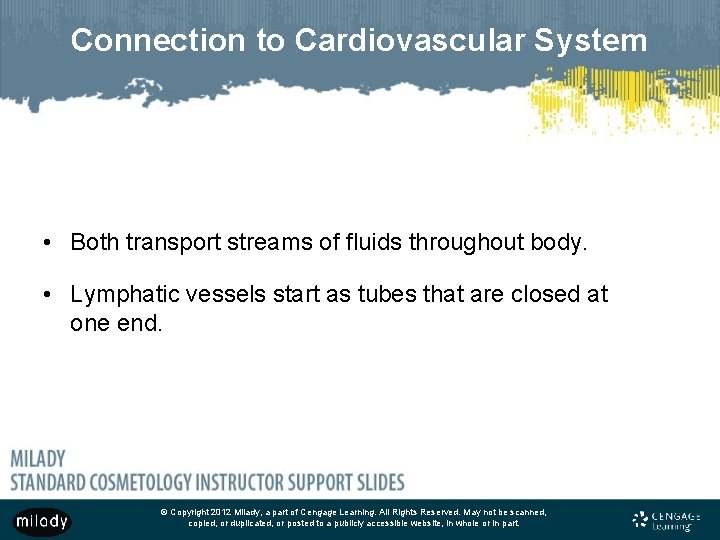 Connection to Cardiovascular System • Both transport streams of fluids throughout body. • Lymphatic