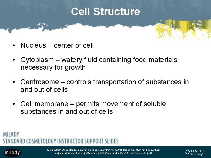 Cell Structure • Nucleus – center of cell • Cytoplasm – watery fluid containing