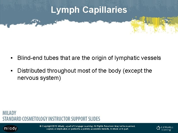 Lymph Capillaries • Blind-end tubes that are the origin of lymphatic vessels • Distributed