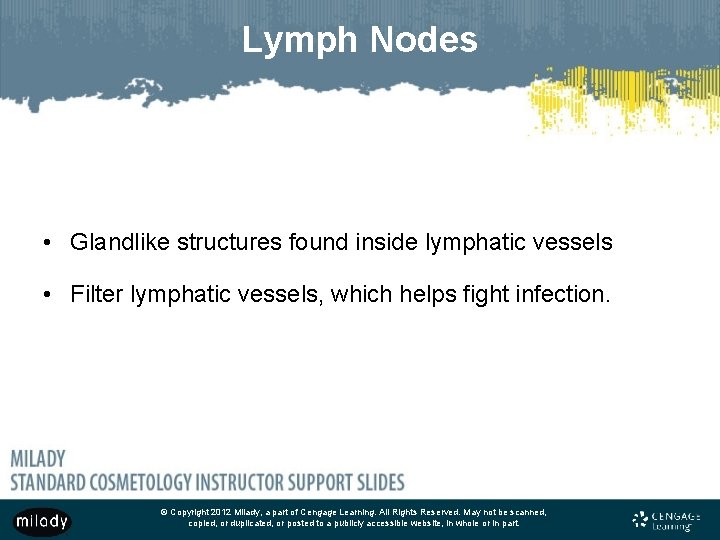 Lymph Nodes • Glandlike structures found inside lymphatic vessels • Filter lymphatic vessels, which