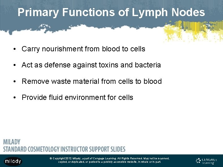Primary Functions of Lymph Nodes • Carry nourishment from blood to cells • Act