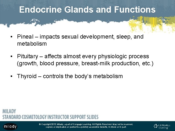 Endocrine Glands and Functions • Pineal – impacts sexual development, sleep, and metabolism •