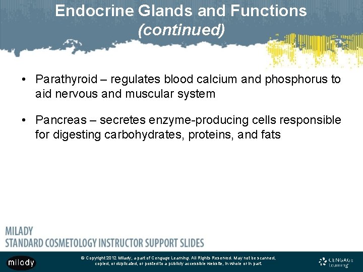 Endocrine Glands and Functions (continued) • Parathyroid – regulates blood calcium and phosphorus to