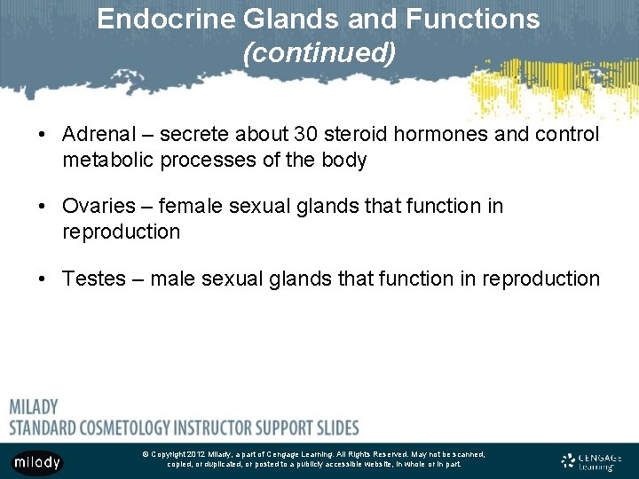 Endocrine Glands and Functions (continued) • Adrenal – secrete about 30 steroid hormones and