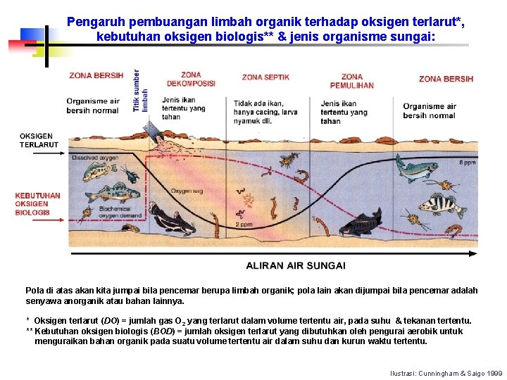 Pengaruh pembuangan limbah organik terhadap oksigen terlarut*, kebutuhan oksigen biologis** & jenis organisme sungai: