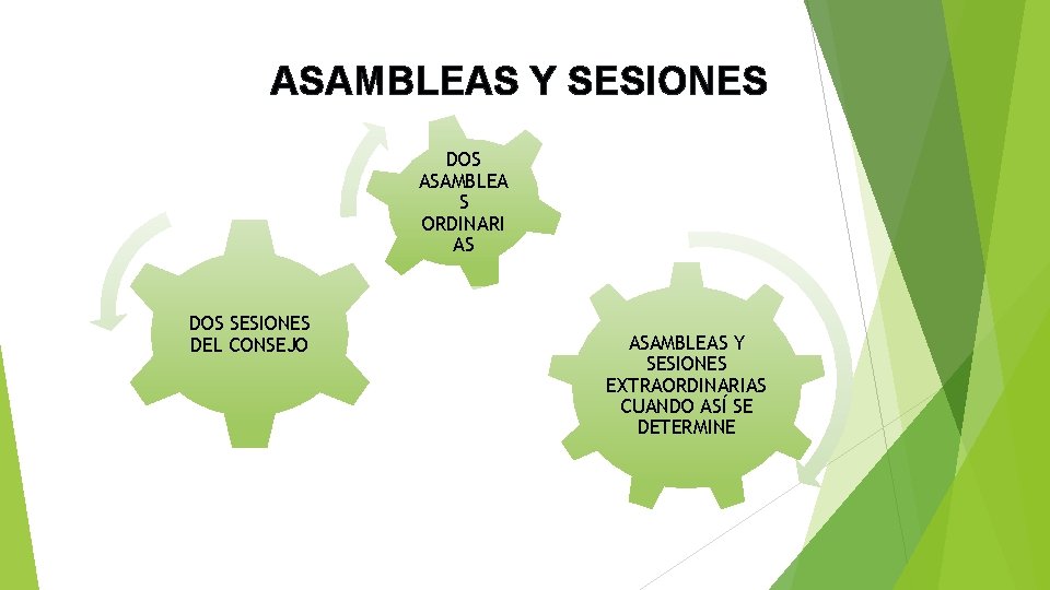 ASAMBLEAS Y SESIONES DOS ASAMBLEA S ORDINARI AS DOS SESIONES DEL CONSEJO ASAMBLEAS Y