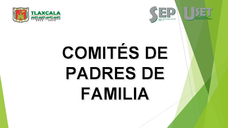COMITÉS DE PADRES DE FAMILIA 