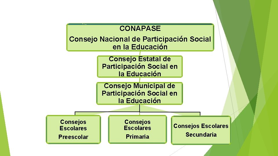 CONAPASE Consejo Nacional de Participación Social en la Educación Consejo Estatal de Participación Social