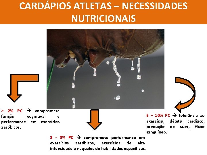 CARDÁPIOS ATLETAS – NECESSIDADES NUTRICIONAIS > 2% PC compromete função cognitiva e performance em