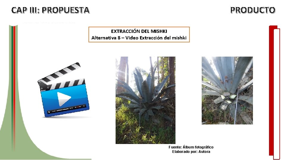 CAP III: PROPUESTA PRODUCTO EXTRACCIÓN DEL MISHKI Alternativa 8 – Video Extracción del mishki