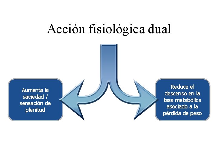 Acción fisiológica dual Aumenta la saciedad / sensación de plenitud Reduce el descenso en