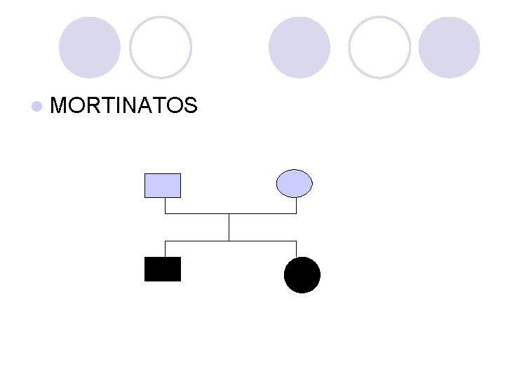l MORTINATOS l MORTINATOS