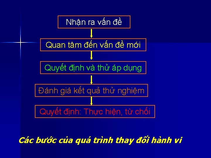 Nhận ra vấn đề Quan tâm đến vấn đề mới Quyết định và thử Nhận ra vấn đề Quan tâm đến vấn đề mới Quyết định và thử