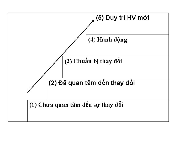 (5) Duy trì HV mới (4) Hành động (3) Chuẩn bị thay đổi (2) (5) Duy trì HV mới (4) Hành động (3) Chuẩn bị thay đổi (2)