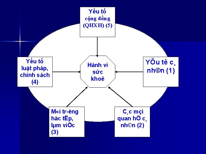 Yếu tố cộng đồng (QHXH) (5) Yếu tố luật pháp, chính sách (4) Hành Yếu tố cộng đồng (QHXH) (5) Yếu tố luật pháp, chính sách (4) Hành