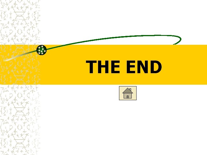 THE END 