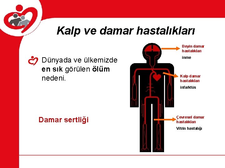 Kalp ve damar hastalıkları Beyin damar hastalıkları Dünyada ve ülkemizde en sık görülen ölüm Kalp ve damar hastalıkları Beyin damar hastalıkları Dünyada ve ülkemizde en sık görülen ölüm