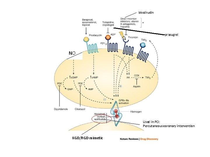 bivalirudin prasugrel NO Usati in PCI: Percutaneous coronary intervention KGD/RGD mimetic 