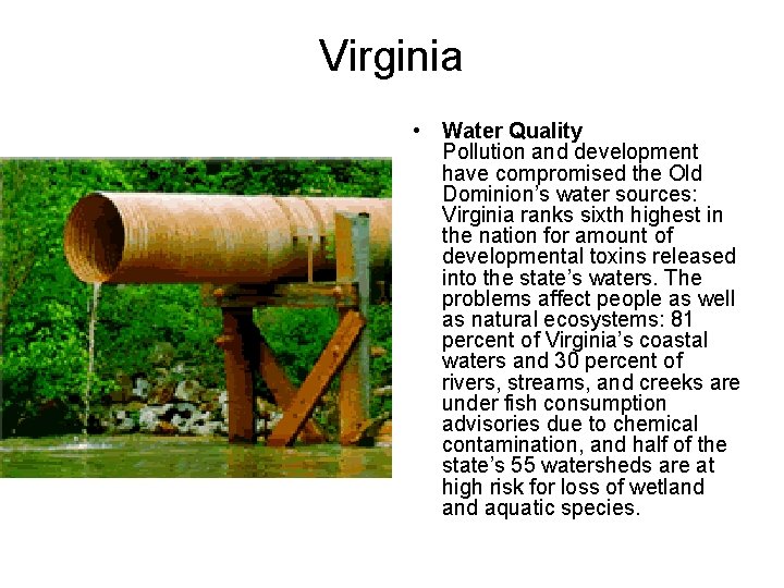 Virginia • Water Quality Pollution and development have compromised the Old Dominion’s water sources: