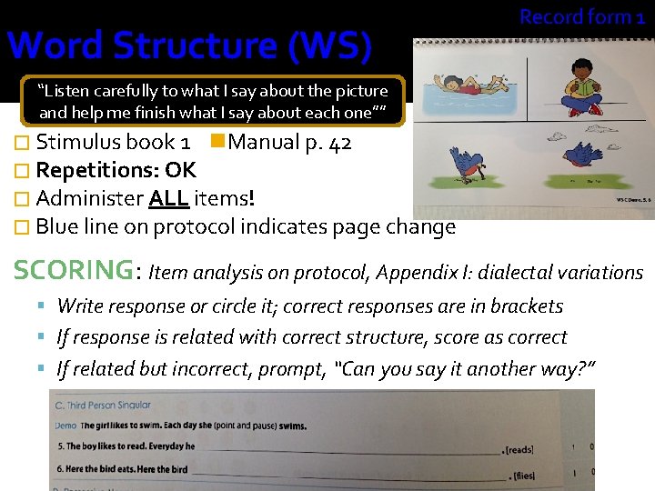 Word Structure (WS) Record form 1 “Listen carefully to what I say about the