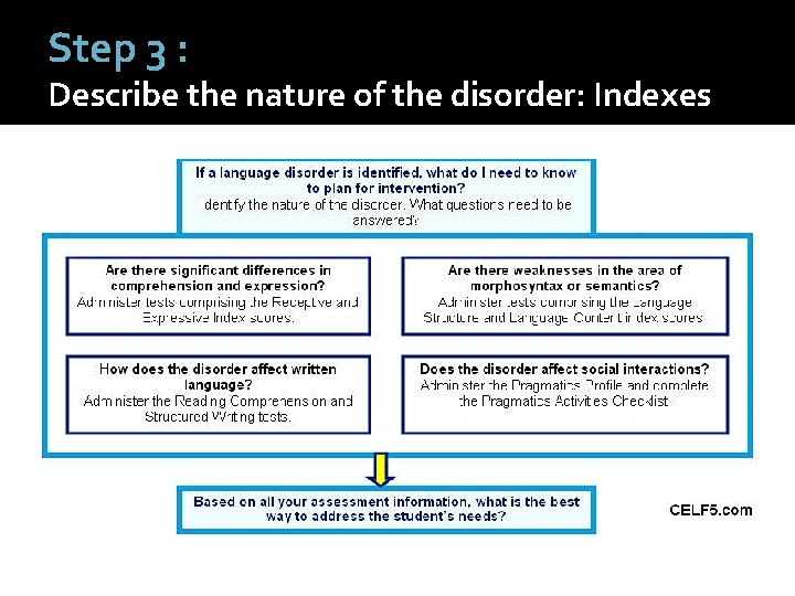 Step 3 : Describe the nature of the disorder: Indexes 